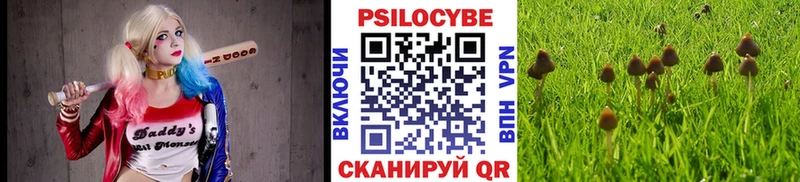 Псилоцибиновые грибы MAGIC MUSHROOMS  Купить закладки  Сельцо 